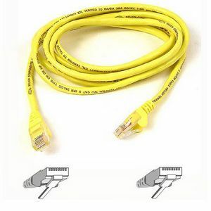 Belkin Cat5e Ethernet Patch Cable 10 ft – High-Speed Network Connection with Gold-Plated RJ45 Connectors