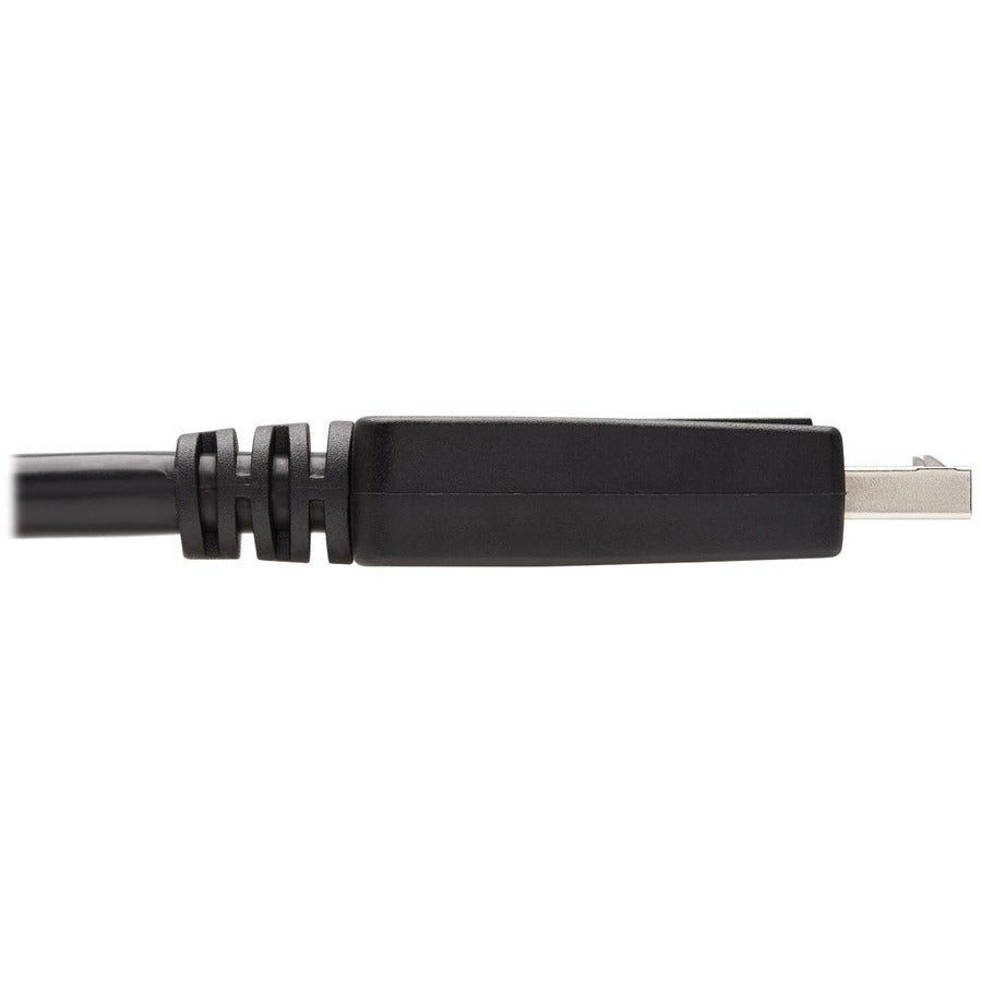 Eaton Tripp Lite Series DisplayPort to DVI-D Cable (Part P581-010), 10 ft