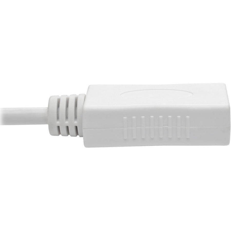 Eaton Tripp Lite Series Keyspan P139-010-DP-V2B Mini DisplayPort to DisplayPort Cable Adapter – 10 ft, 4K UHD Support