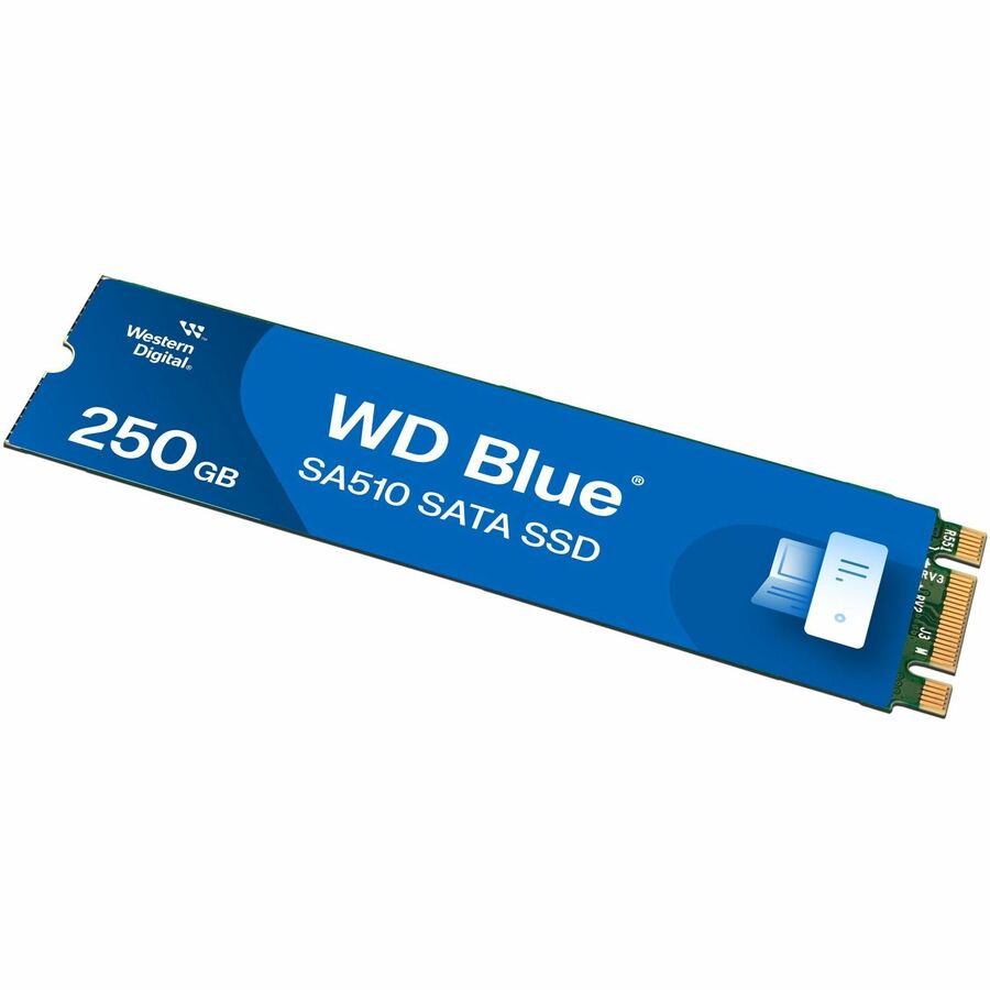 Western Digital Blue SA510 WDS250G3B0B 250GB M.2 SATA SSD for PC Enhancement