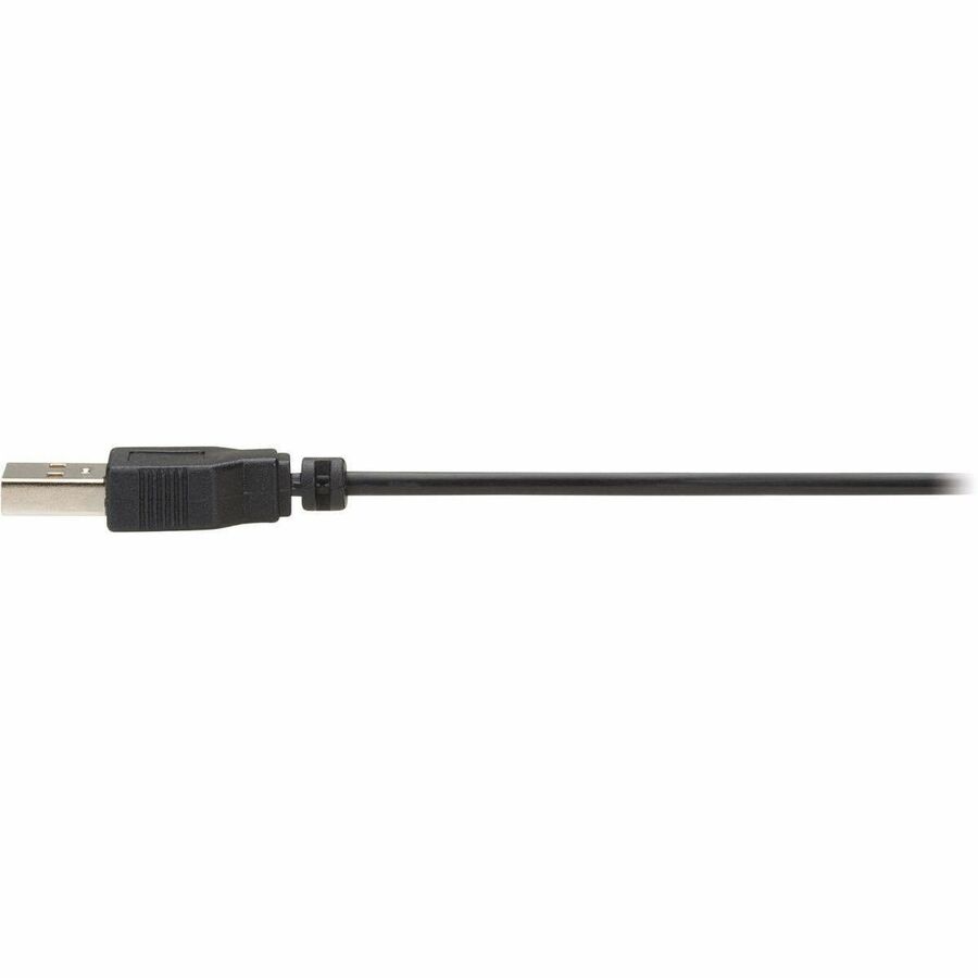 Eaton Tripp Lite Series P580F-000 DisplayPort Fiber Extender Kit with MPO Connectors for 8K Video Transmission
