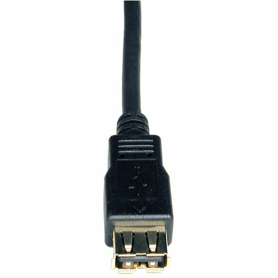 Eaton Tripp Lite Series USB 2.0 A Male to Female Extension Cable - 10 ft