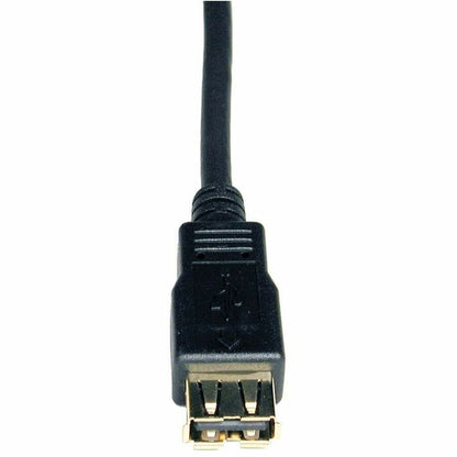 Eaton Tripp Lite Series USB 2.0 A Male to Female Extension Cable - 10 ft