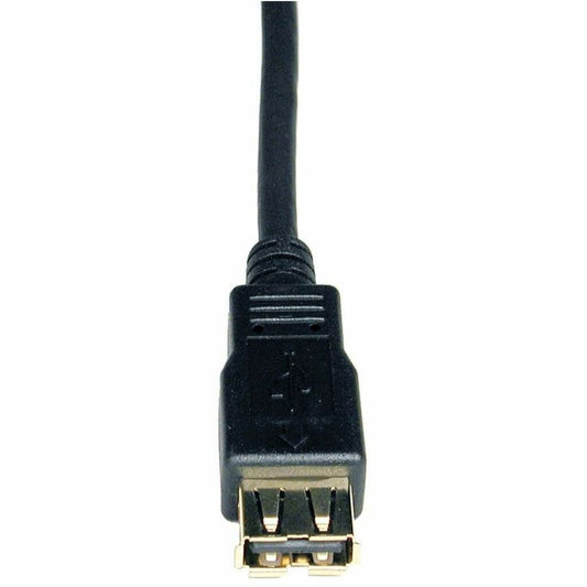 Eaton Tripp Lite Series USB 2.0 A Male to Female Extension Cable - 10 ft