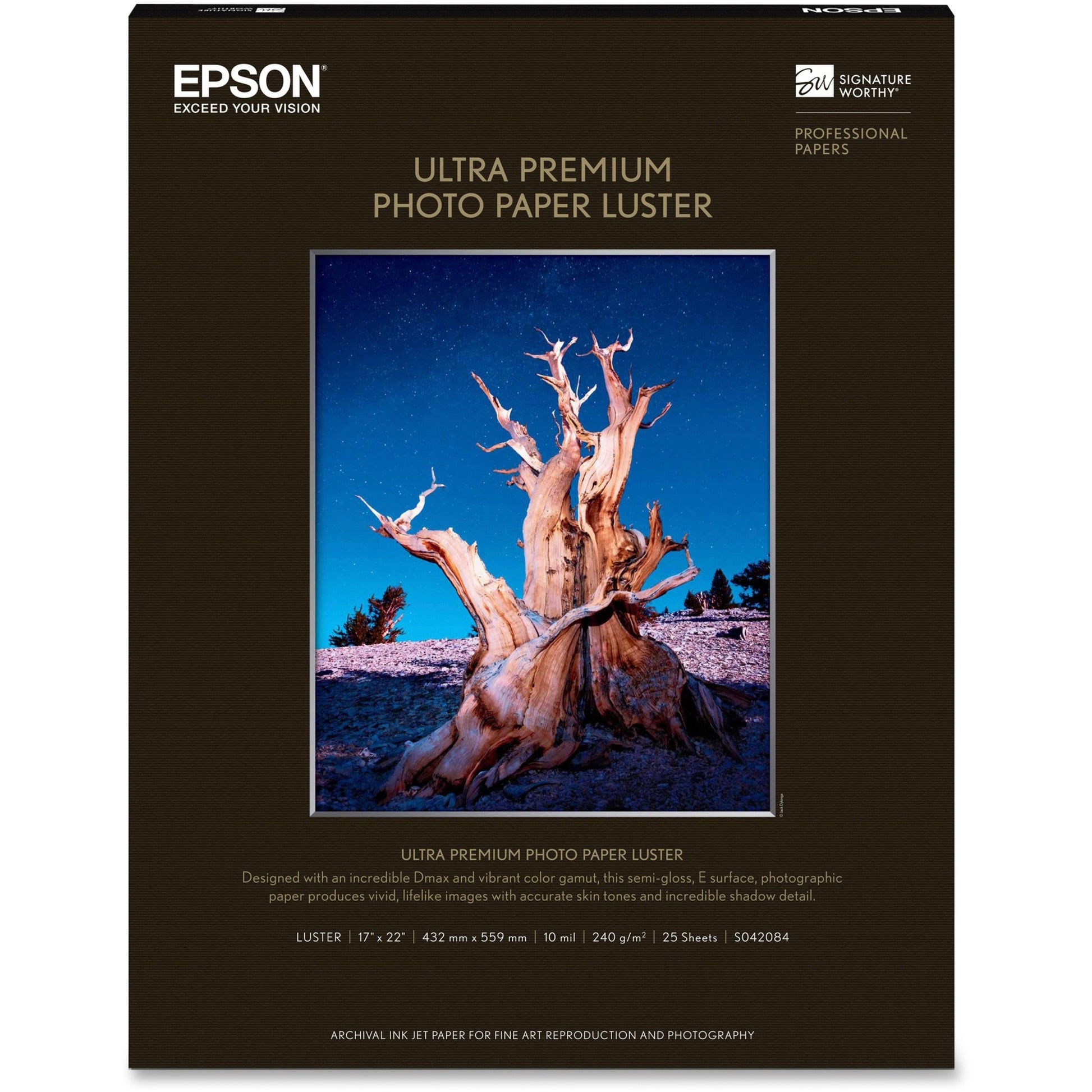 Epson Ultra Premium Luster Surface Photo Paper – 17 x 22 Inches, Pack of 25