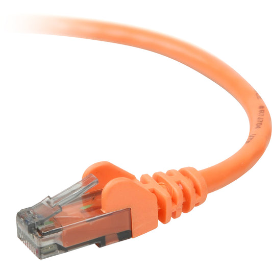 Belkin Cat6 UTP Snagless Patch Cable, 5 ft — High-Speed Ethernet for VoIP, Video & Data Transfer