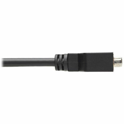 Eaton Tripp Lite Series DisplayPort to DVI-I Adapter Cable, 6 inches