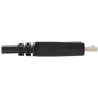 Eaton Tripp Lite Series DisplayPort to DVI-D Adapter Cable (P581-006), 6 ft