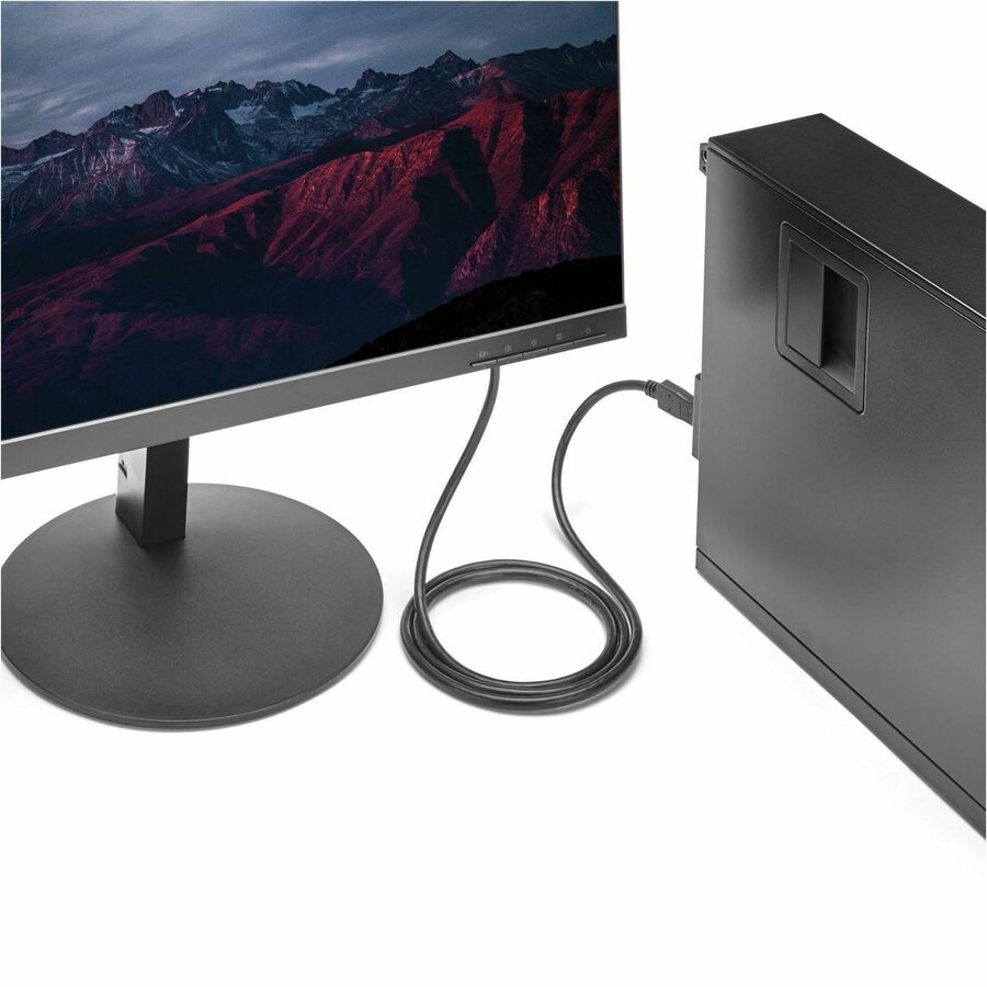 StarTech.com 6ft DisplayPort to DVI Cable (DP2DVIMM6) for High-Resolution Video Connections