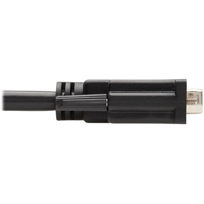 Eaton Tripp Lite Series DisplayPort to DVI-D Cable (Part P581-010), 10 ft