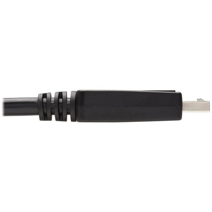 Eaton Tripp Lite Series DisplayPort to DVI-D Cable (Part P581-010), 10 ft