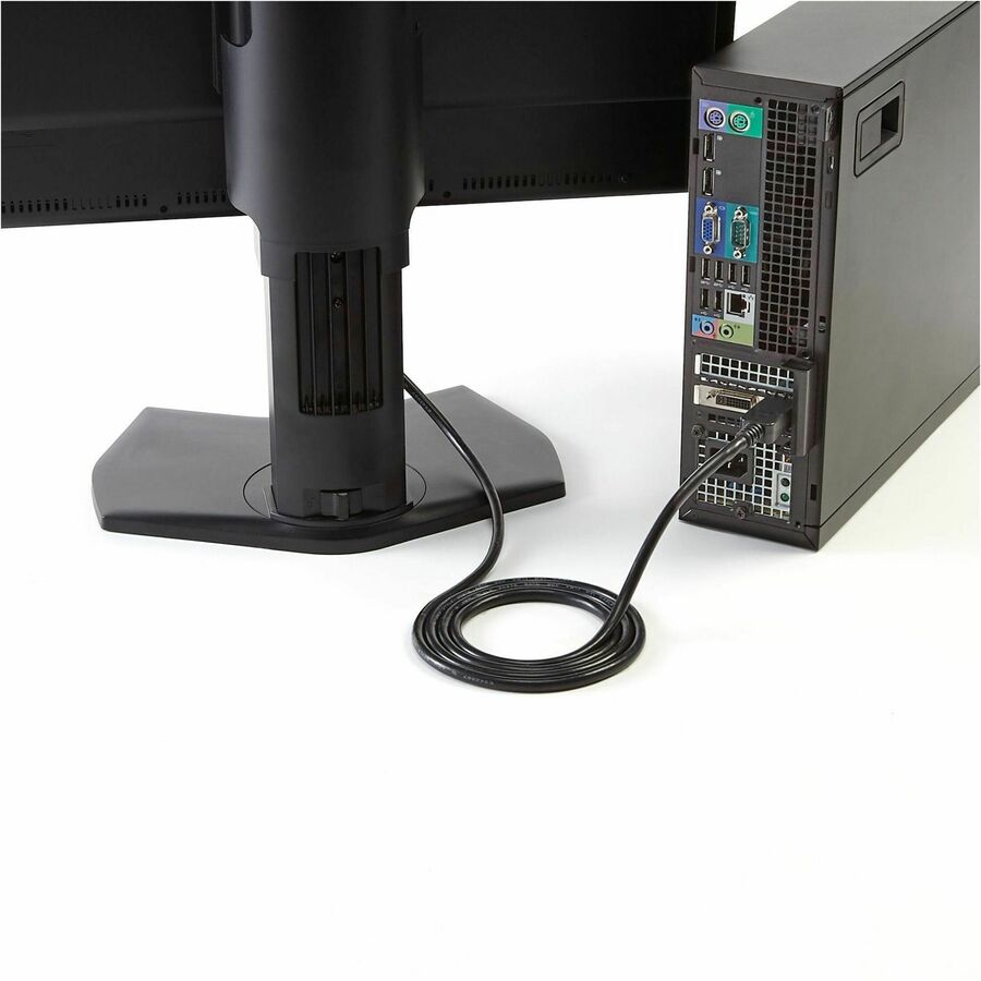 StarTech.com 6 ft DisplayPort to DVI Cable - Connect DVI Displays to DisplayPort Video Sources