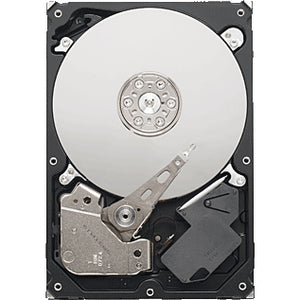 Seagate ST1000VM002 1TB Video 3.5-inch Internal Hard Drive for DVR and Media Servers