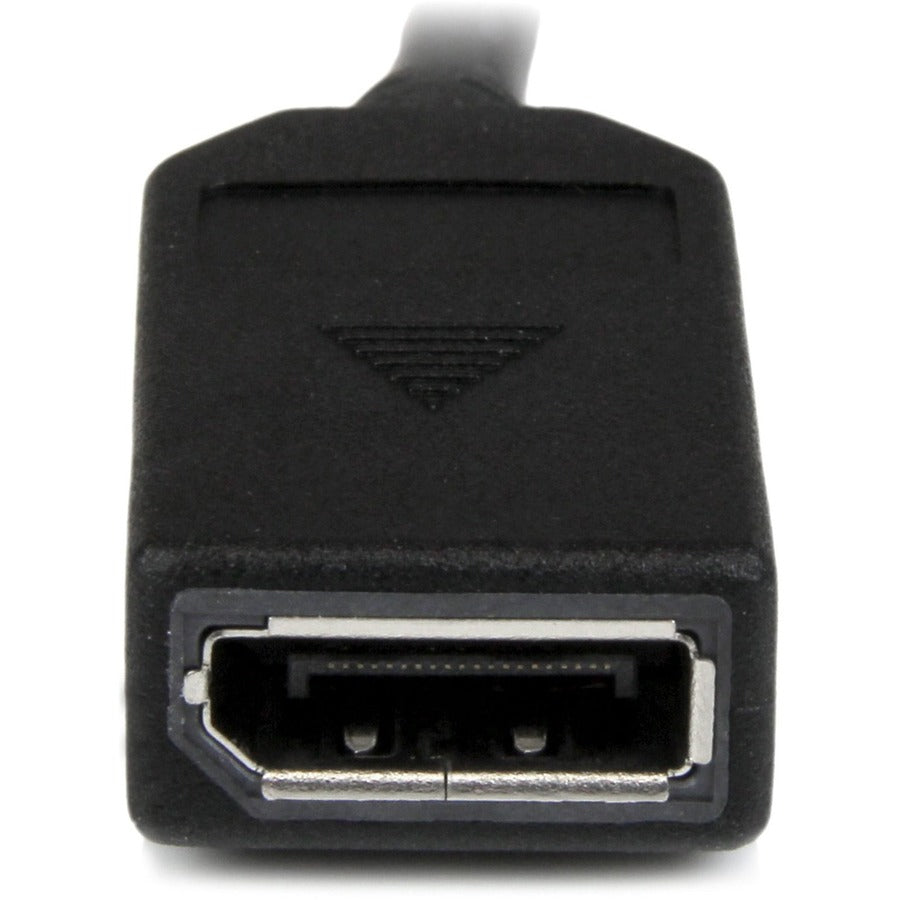 StarTech.com DMS-59 to Dual DisplayPort Cable – 8-Inch 4K Resolution Splitter for Graphics Cards