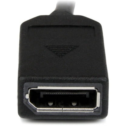 StarTech.com DMS-59 to Dual DisplayPort Cable – 8-Inch 4K Resolution Splitter for Graphics Cards