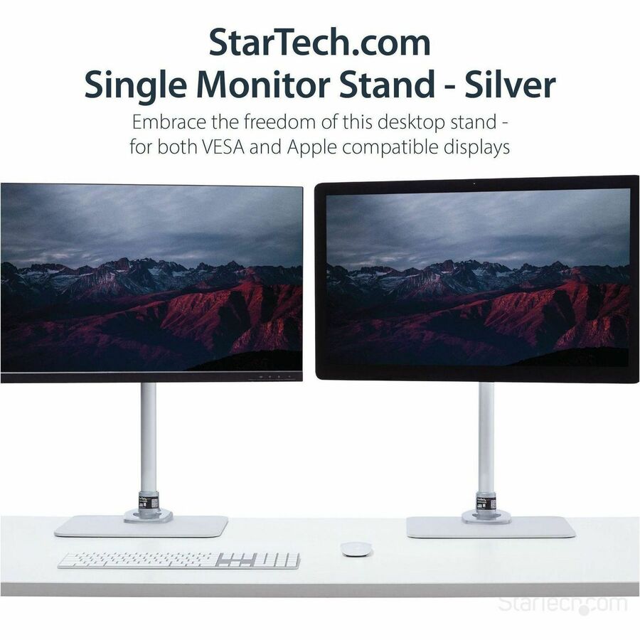StarTech.com Single Monitor Stand for 12 to 34-Inch Displays, Adjustable Steel Desk Mount in Silver