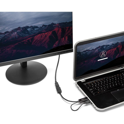 StarTech.com HDMI to DisplayPort Adapter HD2DP - 4K at 30Hz, USB-Powered, Compact HDMI to DisplayPort Converter