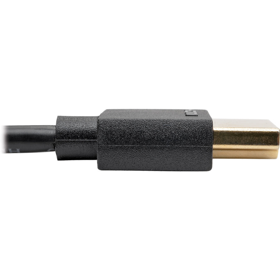 P569-006-SLIM