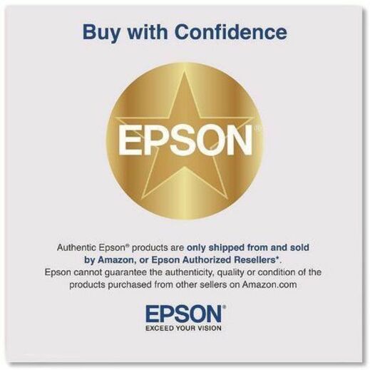 Epson Transparency Unit for Epson Expression 12000XL and 13000XL Scanners - B12B819221