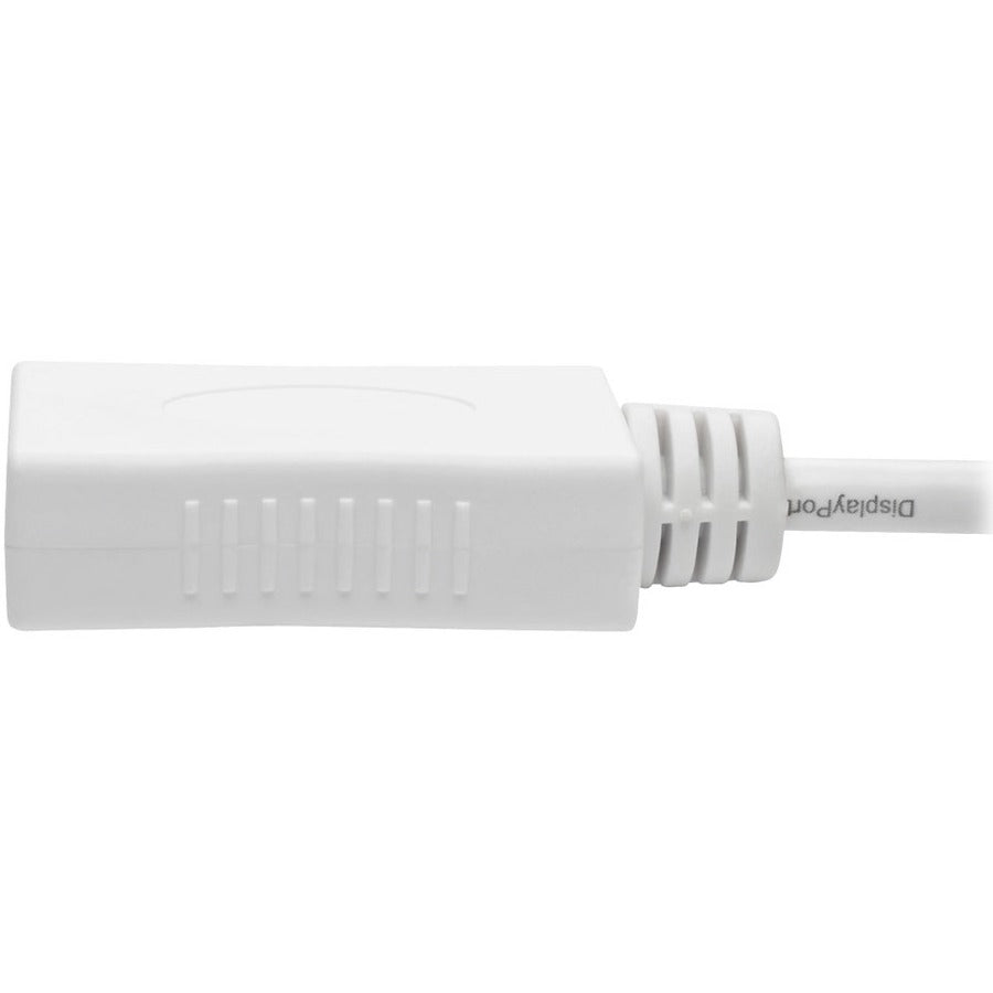 Eaton Tripp Lite Series Keyspan P139-010-DP-V2B Mini DisplayPort to DisplayPort Cable Adapter – 10 ft, 4K UHD Support