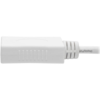 Eaton Tripp Lite Series Keyspan P139-010-DP-V2B Mini DisplayPort to DisplayPort Cable Adapter – 10 ft, 4K UHD Support