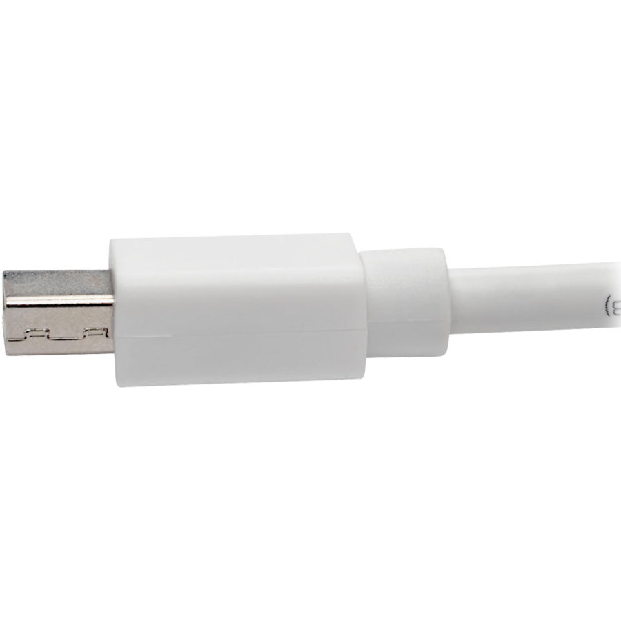Eaton Tripp Lite Series Keyspan P139-010-DP-V2B Mini DisplayPort to DisplayPort Cable Adapter – 10 ft, 4K UHD Support