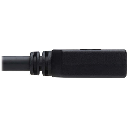 Eaton Tripp Lite Series DisplayPort Extension Cable with Latch, 10 ft, UHD 4K Support