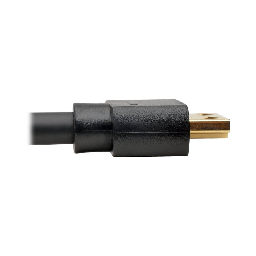 Eaton Tripp Lite Series DisplayPort 1.2a to HDMI Active Adapter Cable, 10 ft., 4K @ 60Hz, Gold-Plated Connectors