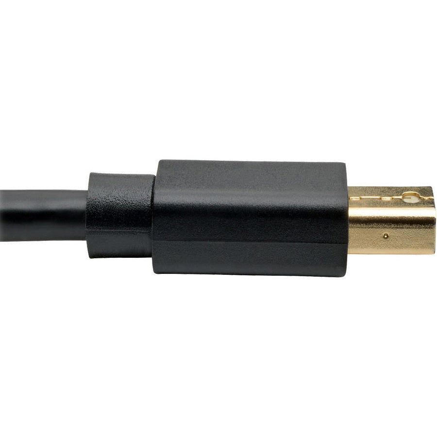Eaton Tripp Lite Series Mini DisplayPort to DisplayPort Adapter Cable, 4K @ 30 Hz, 10 ft, Black
