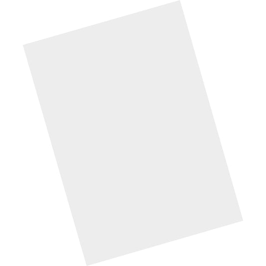 Zebra Technologies Corporation SG-TC7X-SCRNTMP-01 Screen Protector for Zebra TC70X and TC75X Handheld Terminals