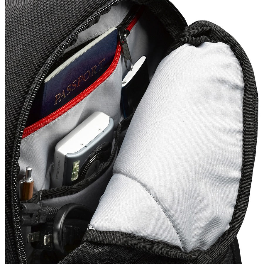 Case Logic DLBP-116 16-Inch Laptop Backpack with Secure Pockets and Organizer Panel in Black
