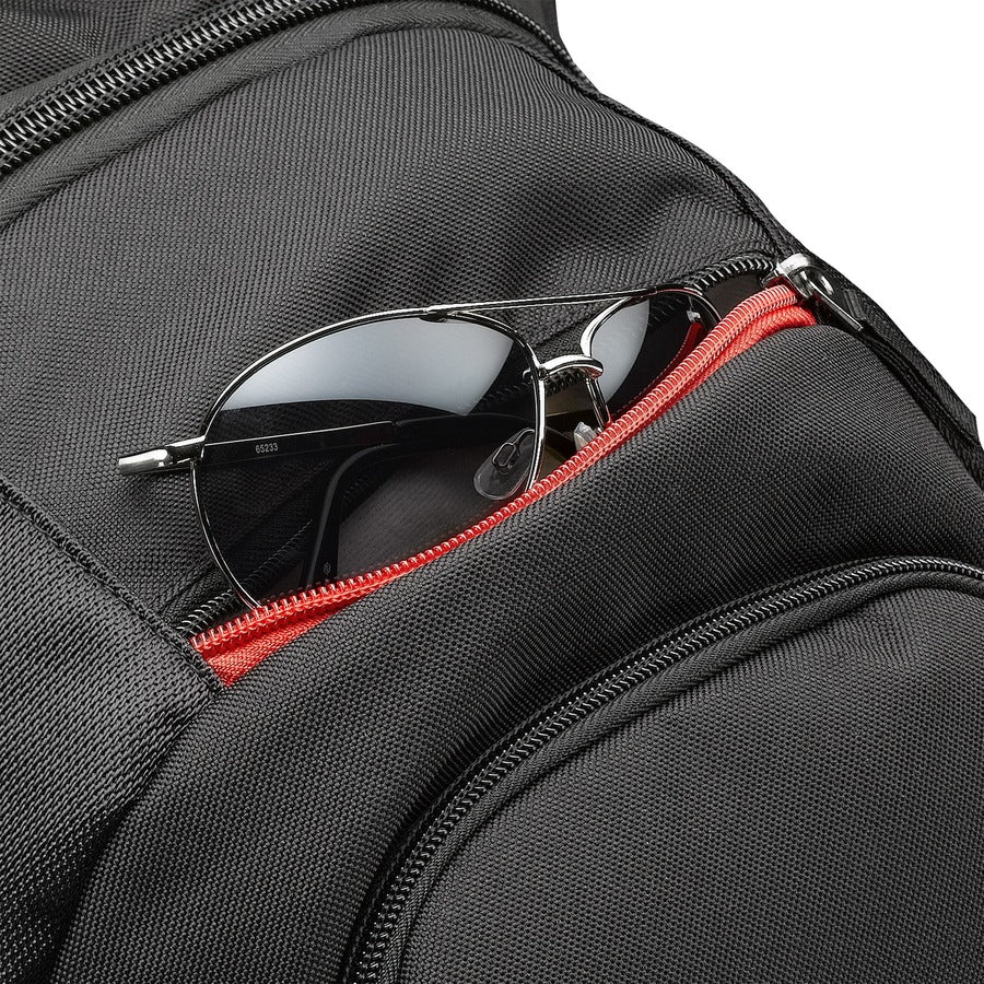 Case Logic DLBP-116 16-Inch Laptop Backpack with Secure Pockets and Organizer Panel in Black