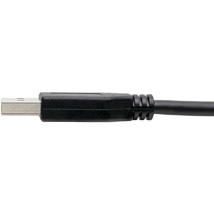 Eaton Tripp Lite Series USB-C to USB-A Cable (U428-006), 6 ft, USB 3.1 Gen 1, 5 Gbps Data Transfer