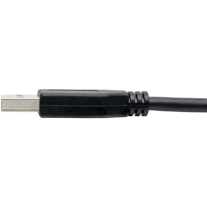 Eaton Tripp Lite Series USB-C to USB-A Cable (U428-006), 6 ft, USB 3.1 Gen 1, 5 Gbps Data Transfer