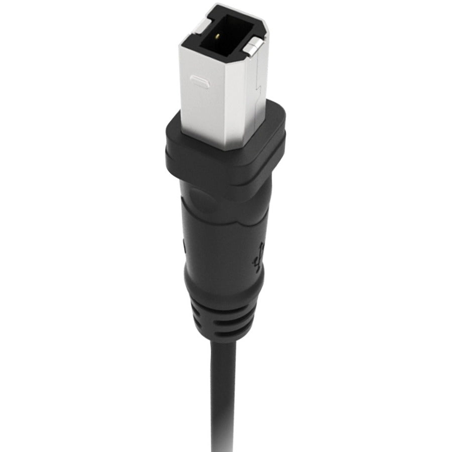Belkin F3U133B10 10 ft USB Data Transfer Cable – USB Type A to USB Type B Male