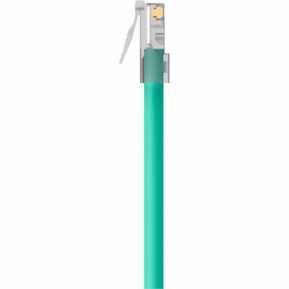 Belkin Cat6 UTP Ethernet Patch Cable, 15 ft – High-Speed Network Connection for Home and Office