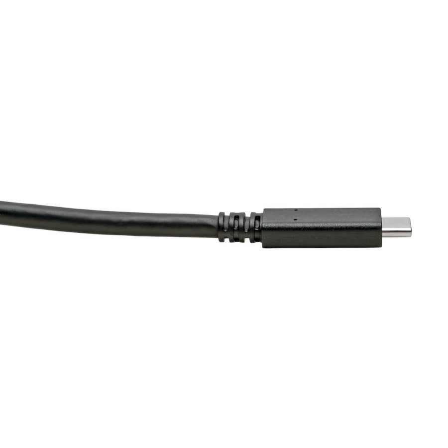 Eaton Tripp Lite Series USB-C to USB-C Cable (U420-006) – 6 ft. USB 3.1 Gen 1 Data Transfer & Charging Cable for MacBooks, Chromebooks, Smartphones