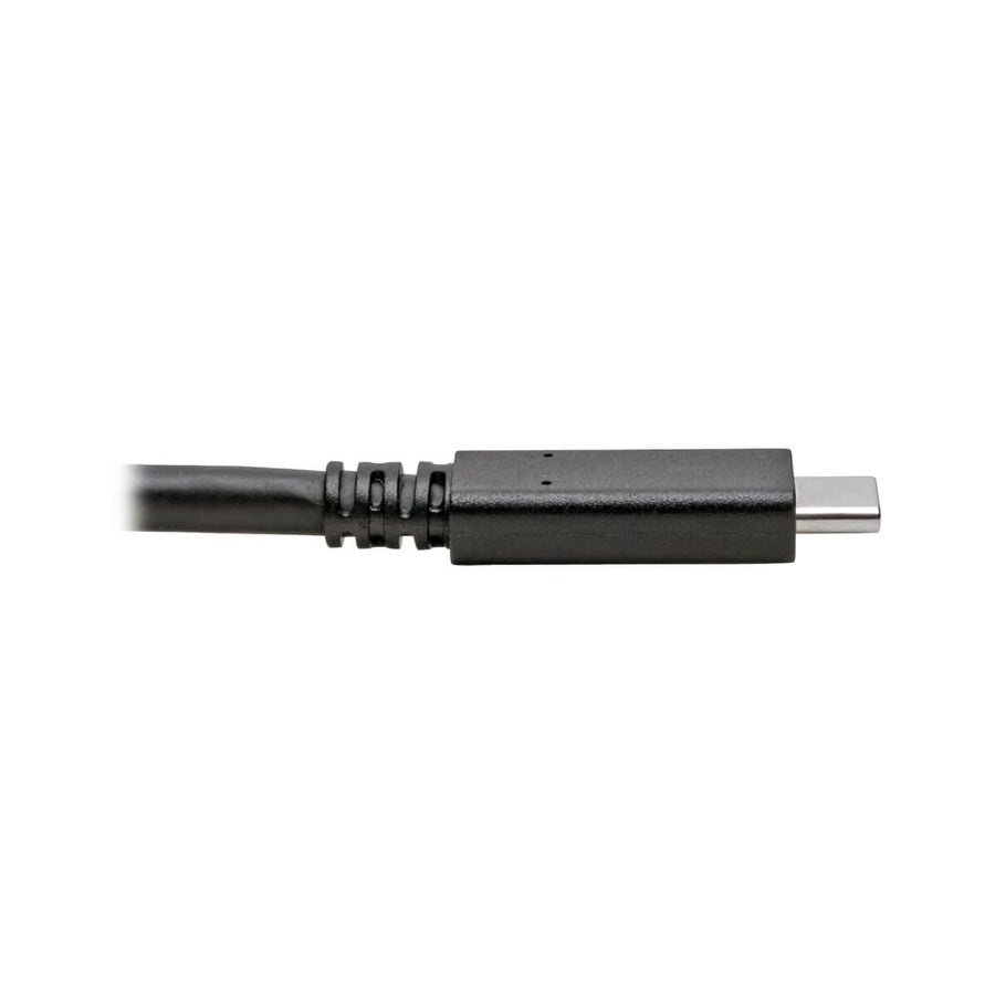 Eaton Tripp Lite Series U420-C06 USB-C to USB-C Data Transfer and Charging Cable - 6 Feet, Thunderbolt 3 Compatible