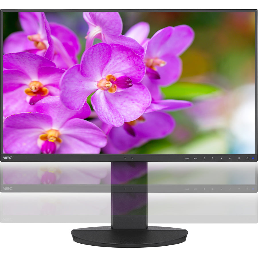 Sharp NEC Display MultiSync EA241F-BK 24-Inch Full HD Business Monitor with Ultra-Narrow Bezel