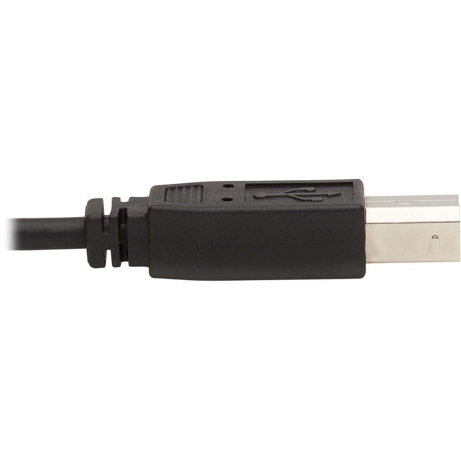Eaton Tripp Lite Series P783-006 6 ft. 3-in-1 DisplayPort KVM Cable with USB and Audio for B002-DP1A4