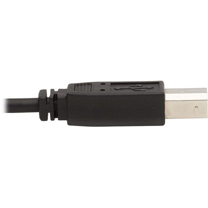 Eaton Tripp Lite Series P783-006 6 ft. 3-in-1 DisplayPort KVM Cable with USB and Audio for B002-DP1A4
