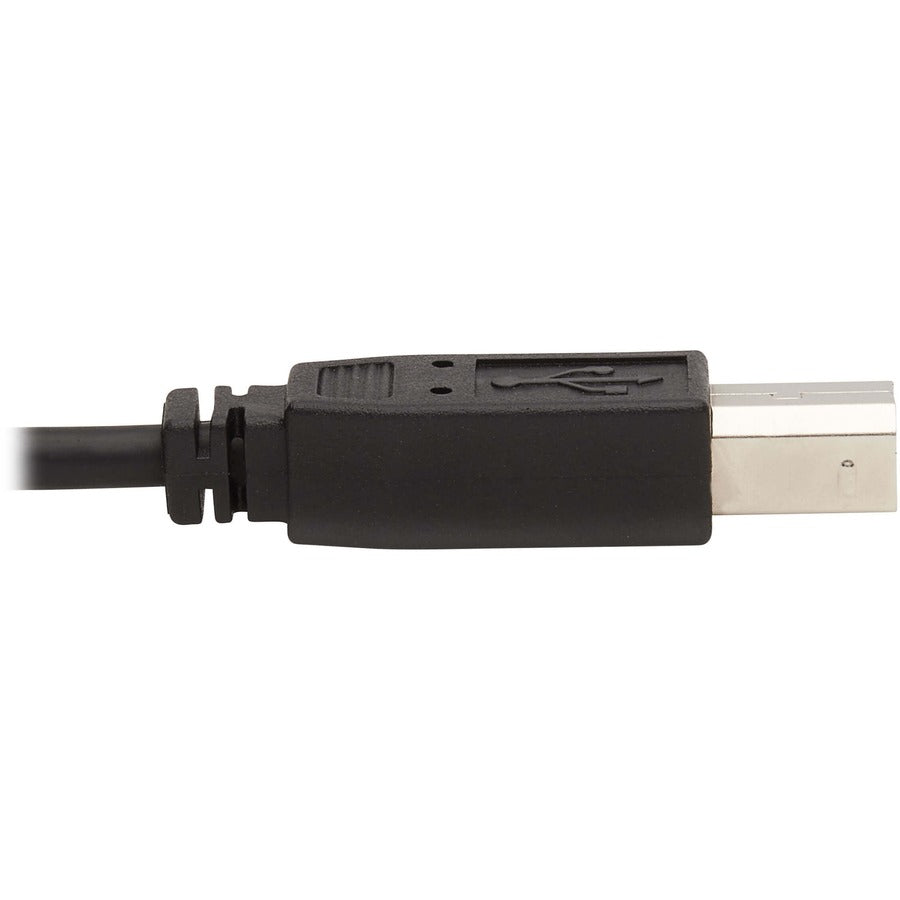 Eaton Tripp Lite Series DisplayPort KVM Cable Kit - 10 ft. with USB, Audio, and CAC Support