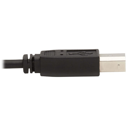 Eaton Tripp Lite Series DisplayPort KVM Cable Kit - 10 ft. with USB, Audio, and CAC Support