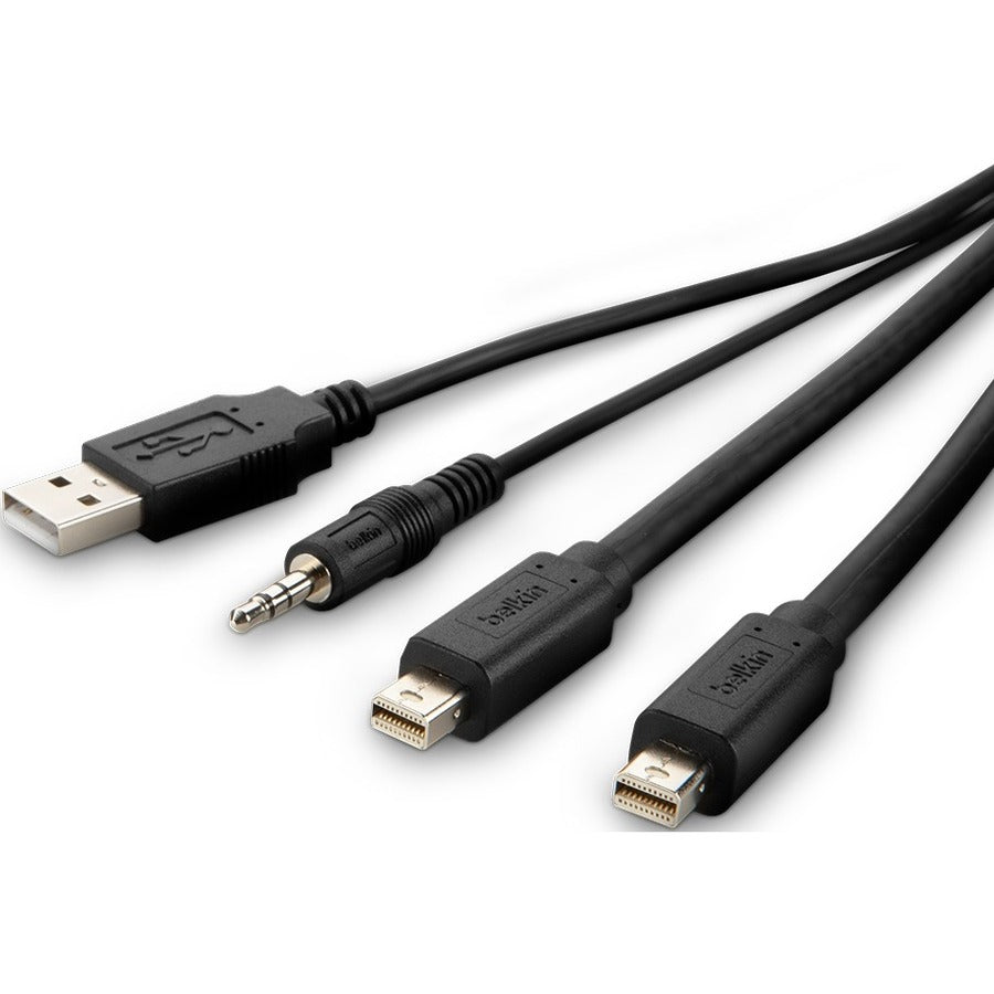Belkin TAA Compliant 6 ft Mini DisplayPort to DisplayPort & USB Audio/Video Cable (Part Number: F1DN2CCBL-MP6T)