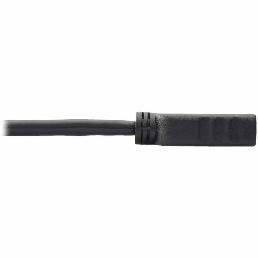 Eaton Tripp Lite Series DisplayPort to HDMI Adapter Converter, 1 ft. Black