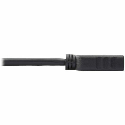Eaton Tripp Lite Series DisplayPort to HDMI Adapter Converter, 1 ft. Black
