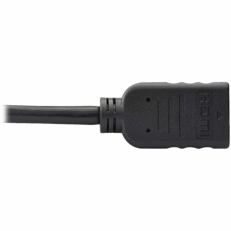 Eaton Tripp Lite Series DisplayPort to HDMI Adapter Converter, 1 ft. Black
