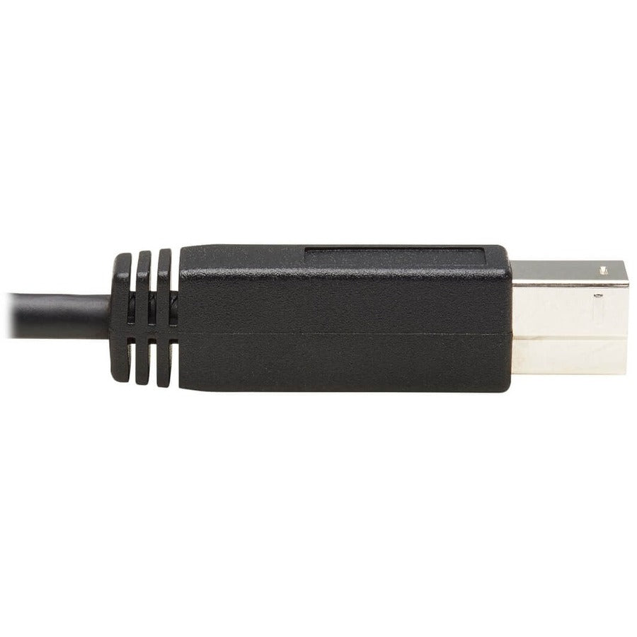 Eaton Tripp Lite Series USB-C to USB-B Cable (U422-20N-G2) - 20-Inch Data Transfer Cable for USB 3.1 Gen 2 Devices