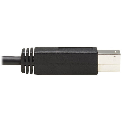 Eaton Tripp Lite Series USB-C to USB-B Cable (U422-20N-G2) - 20-Inch Data Transfer Cable for USB 3.1 Gen 2 Devices