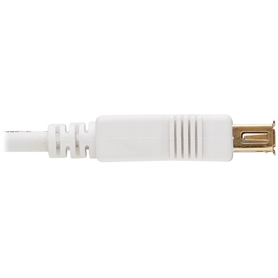 Eaton Tripp Lite Series 6 ft. USB 2.0 Antibacterial Extension Cable (A M/F), White